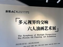 -辰熙ACX星海艺术中心