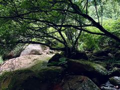 -赤水丹霞旅游区·佛光岩