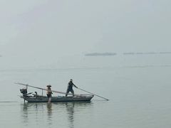 -滕州微山湖红荷湿地景区