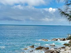 -广东惠东海龟国家级自然保护区