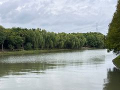 -同里国家湿地公园