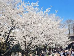 -堤角公园