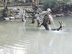 -汇龙潭