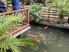 -优之名鹅城
