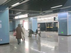 -大龙山(地铁站)