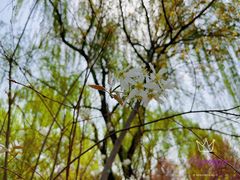 -陕西省西安植物园