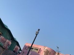 -杭州观成实验学校