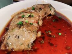 -大榕树下顺德菜(融创茂店)