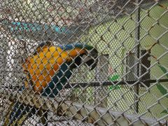 -荆州中山公园动物园