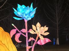 -武汉园博园(武汉自然博物馆)