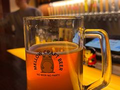 -麦落精酿啤酒餐吧(先农大院店)