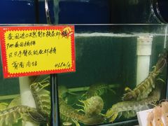 -蚝专家(北滘店)
