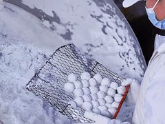 大果粒汤圆-星星奶冰·汤圆(甘肃路店)