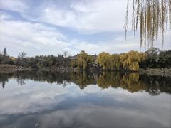 -北京大学赛克勒考古与艺术博物馆