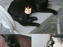 -二楼南书房