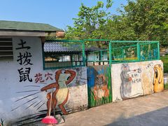 -南丹山森林王国