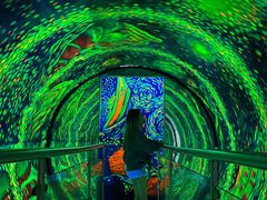 -梵高星空艺术馆(北京旗舰店)