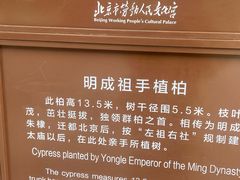 -北京市劳动人民文化宫(太庙)