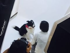 -超宠爱宠物摄影-Super pet
