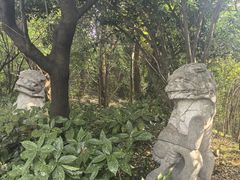 -九华山公园