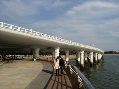 -演武大桥观景平台