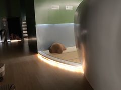 -浅水汤温泉(人民东路店)