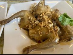 -百利鸽王(紫薇路店)