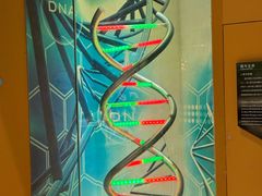 -中国杭州低碳科技馆