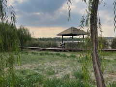 -西青郊野公园