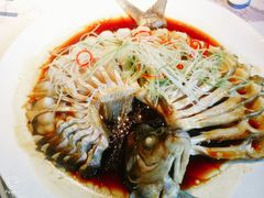 清蒸武昌鱼-小凤庭·地道湖北菜武昌鱼·铫子藕汤(黄鹤楼店)