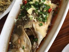 白煮鲈鱼-宾湖农庄·农场特色(太湖龙之梦店)