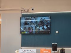 -唐小姐の私宠·宠物洗护美容·撸猫馆·购宠(周浦万达旗舰店)