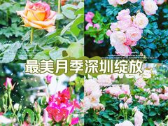 -人民公园(罗湖区)