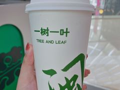 -一树一叶·福建茶档(石鼓路店)