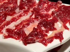 -潮发潮汕牛肉店(东方宝泰店)