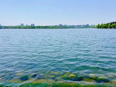 -长春市南湖公园