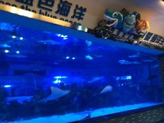 -成都浩海立方海洋公园