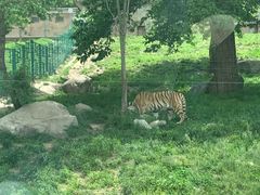 -西安秦岭野生动物园