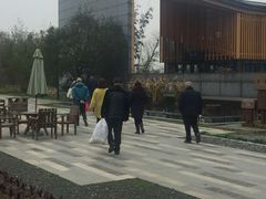 -田园东方蜜桃村的田野营地
