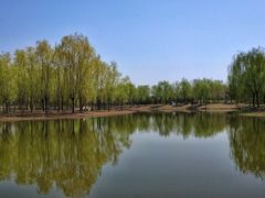 -东郊湿地公园