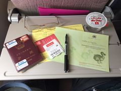-西沃古尔·拉姆古兰爵士国际机场