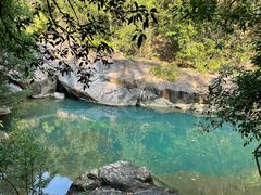 -广州白江湖森林公园