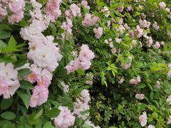 -贵阳市花溪国家城市湿地公园
