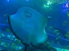 -成都浩海立方海洋公园