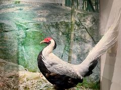 -广东省方志馆