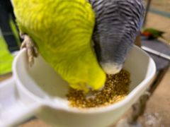 -上海大自然野生昆虫馆(东方明珠·爬宠昆虫探索中心)