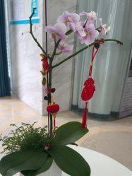 -美呈轻医美·无创抗衰中心