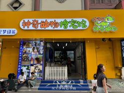 -神奇动物撸宠馆·羊驼·小浣熊·异宠(豫园店)