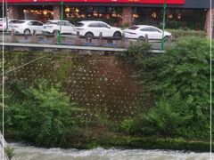 -老号尤兔头(幸福店)