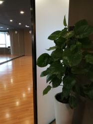 -轩舞汇·爵士舞街舞训练营